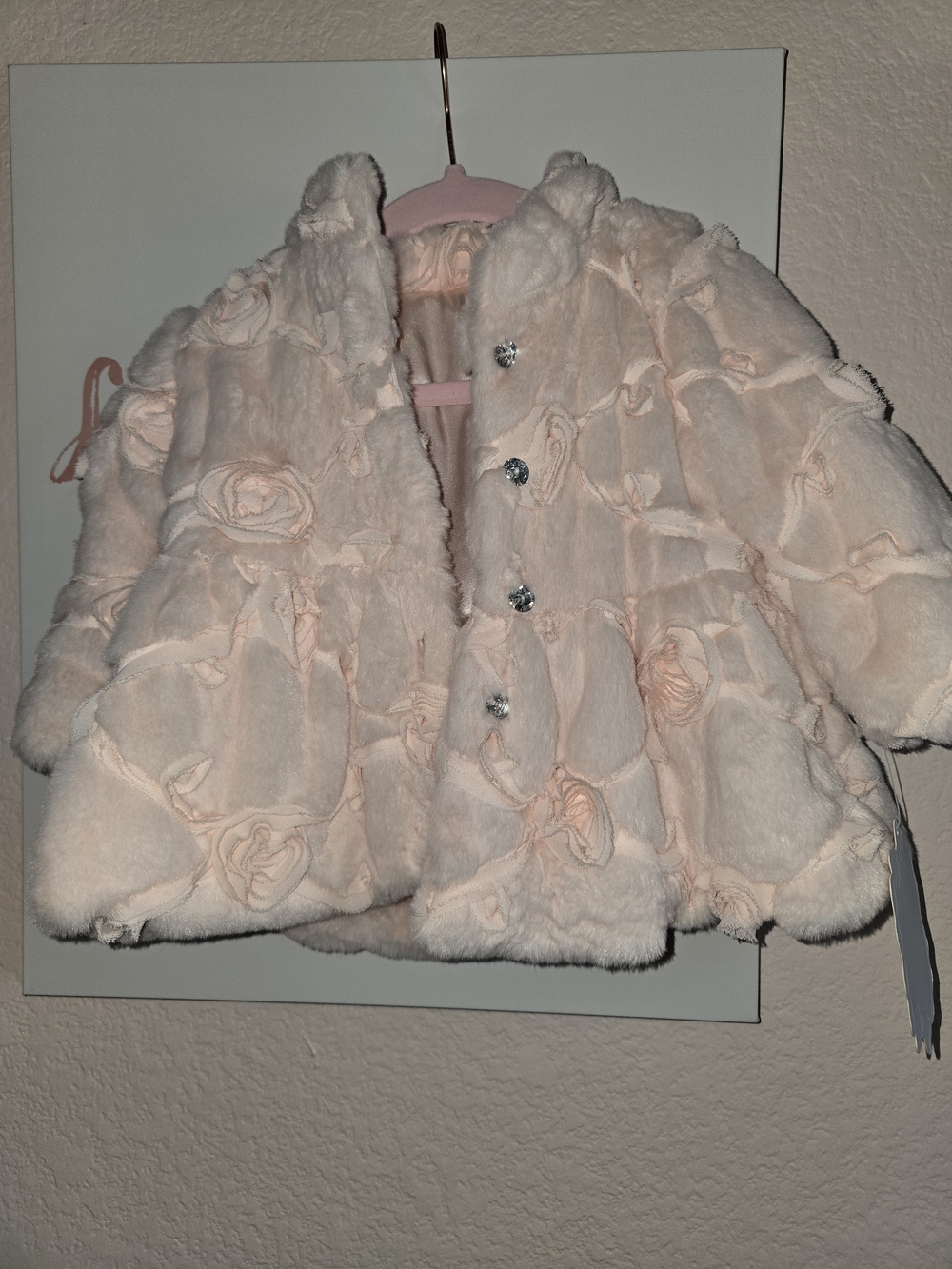 Baby Biscotti Pink Floral Jacket